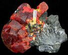 Realgar Crystals on Sphalerite - Peru #45739-2